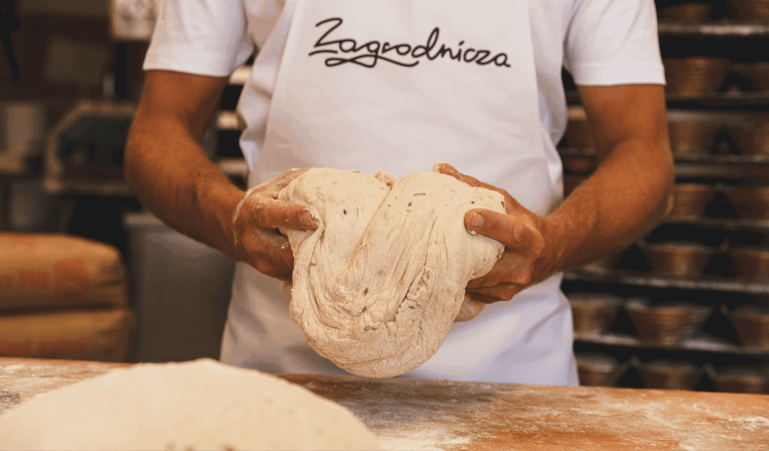 Zagrodnicza – logo piekarni na fartuchu piekarza wyrabiającego ciasto